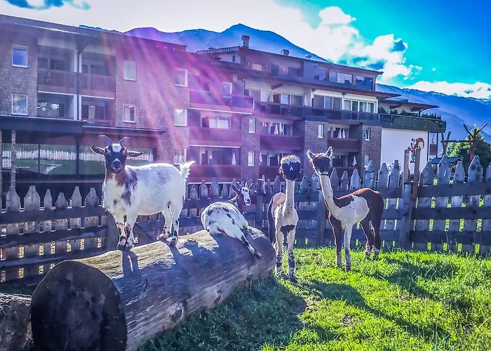 Hotel Alpina Zillertal . Family Lifestyle 4*