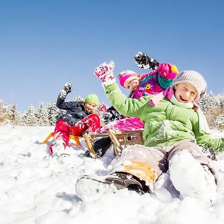 Alpina Zillertal . Family Lifestyle Kinderhotel 4* Fuegen
